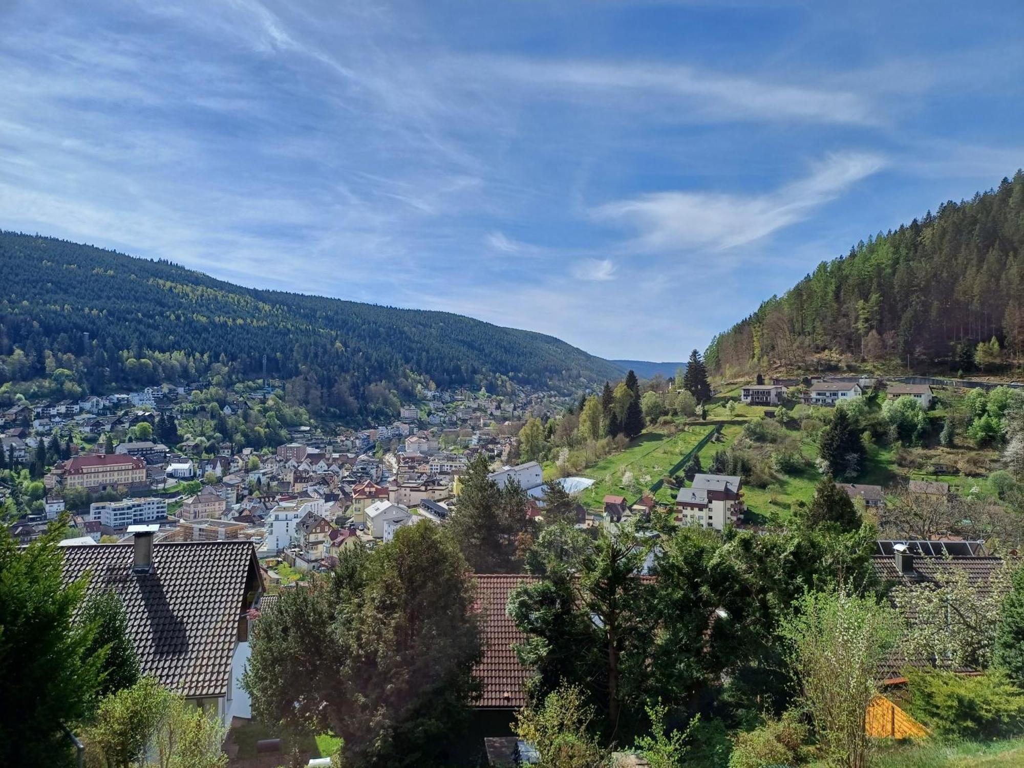 Ferienwohnung Panoramablick Bad Wildbad Exterior foto